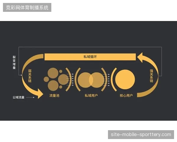 当会员系统过度依赖社交裂变时，赛事方如何规避泛流量带来的数据污染？